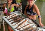 Fishing Guide Charter Fishing Service, wine bayou tours, Cajun Experience Trips, and private photography sessions available